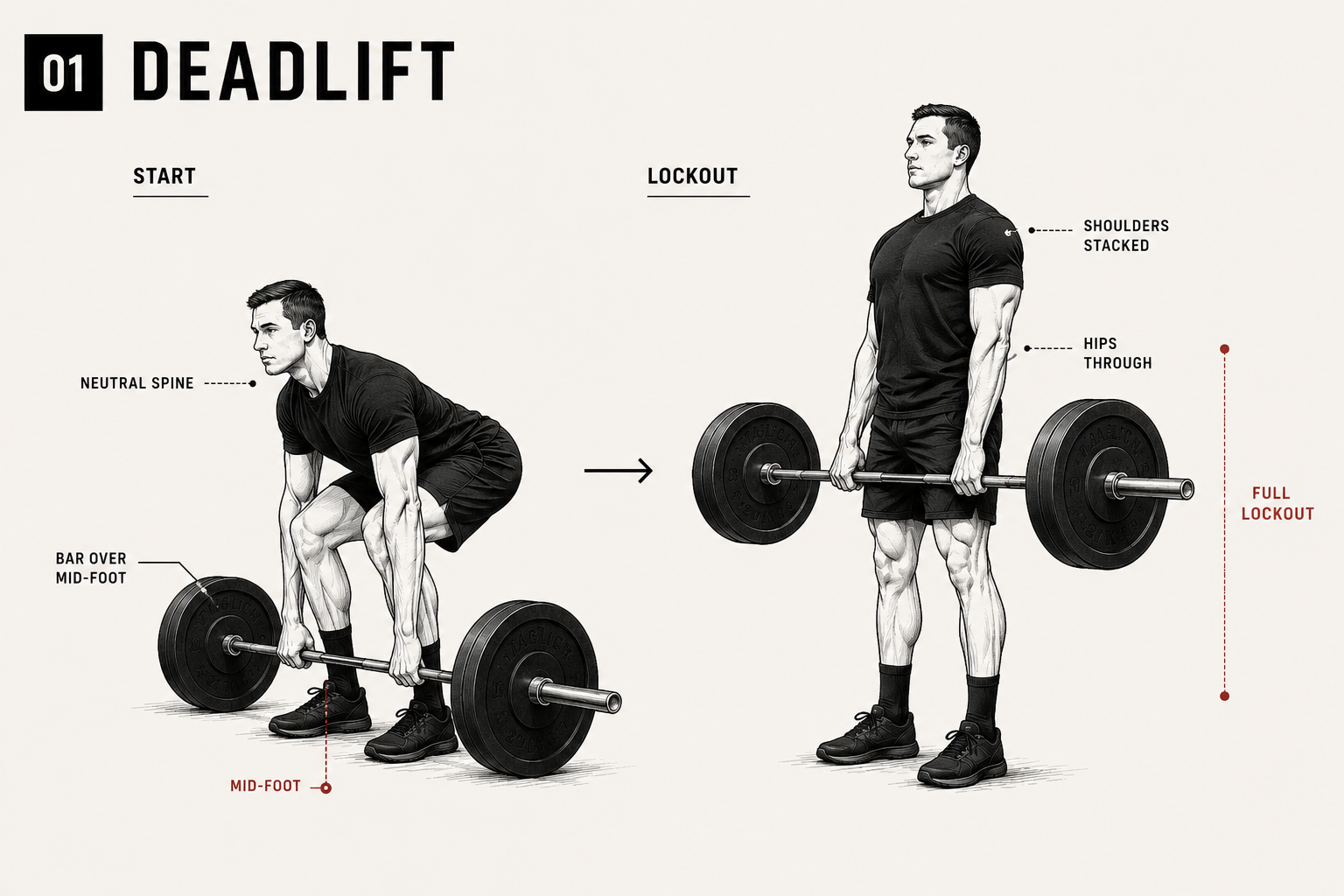Deadlift setup and lockout standards diagram for The Standard